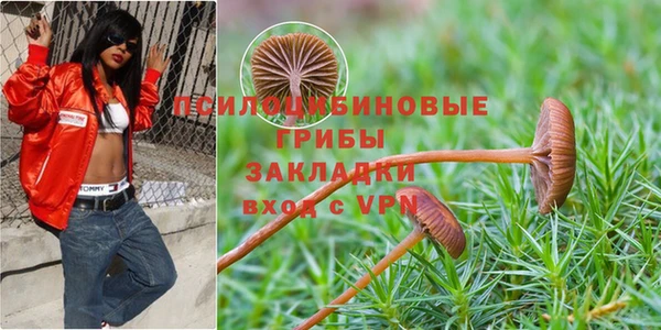 СК Осташков