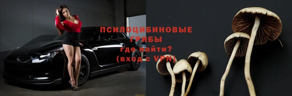Альфа ПВП Остров