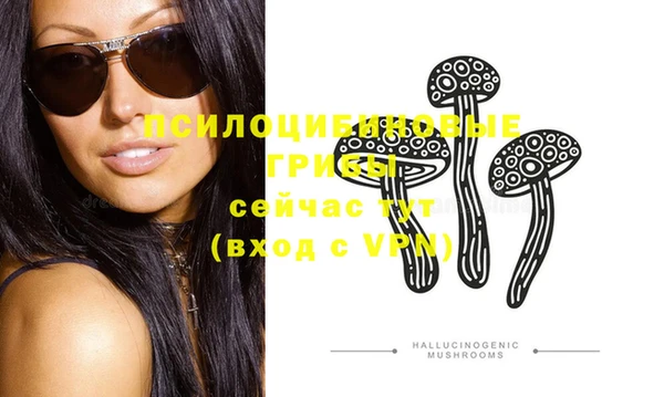 СК Осташков