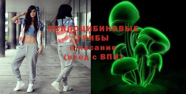 дживик Иннополис