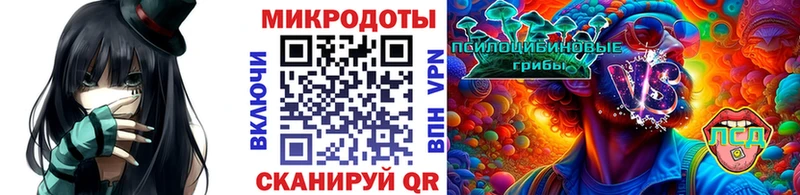 Псилоцибиновые грибы мицелий  Короча 
